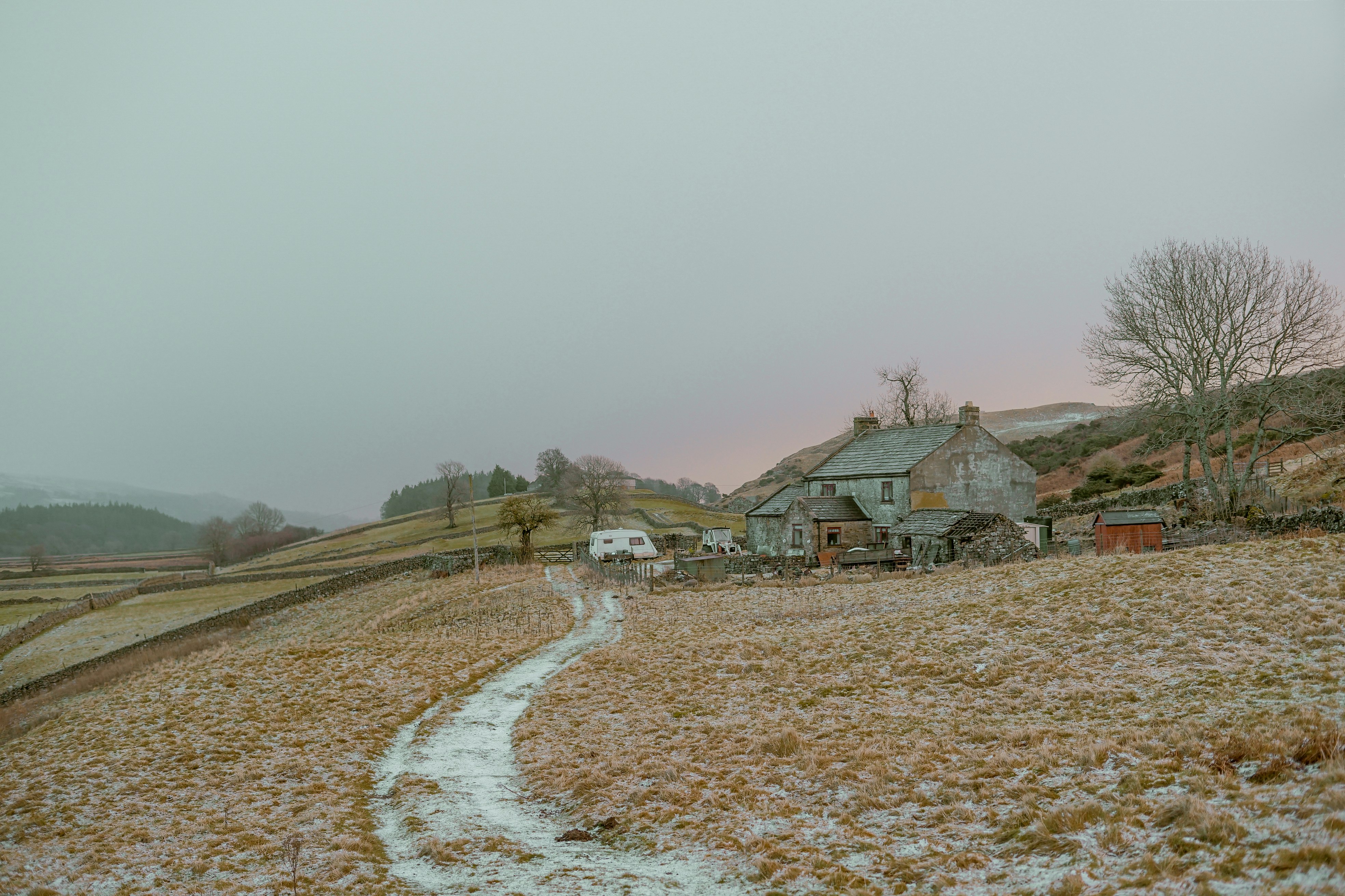 house near withered tree